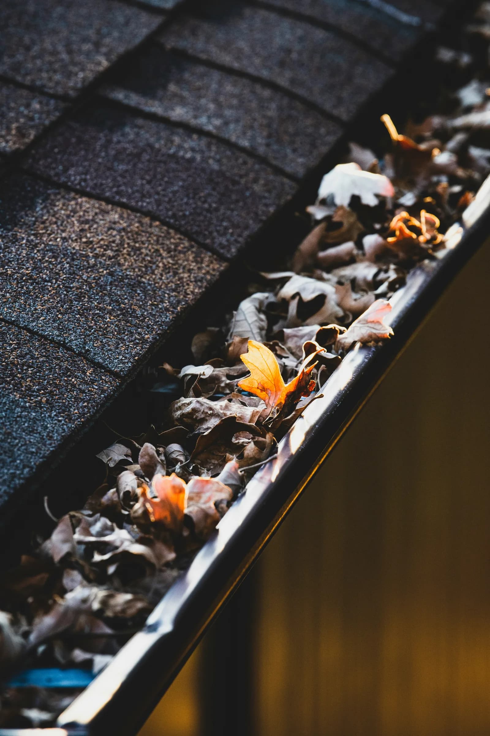 Gutter full of leaves