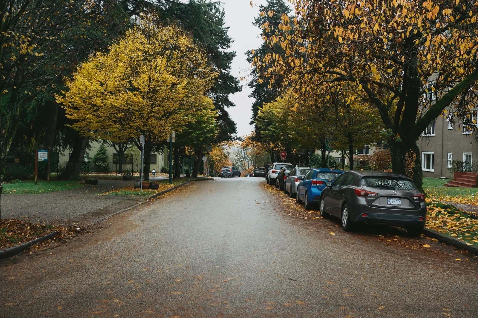Autumn street in Greater Vancouver