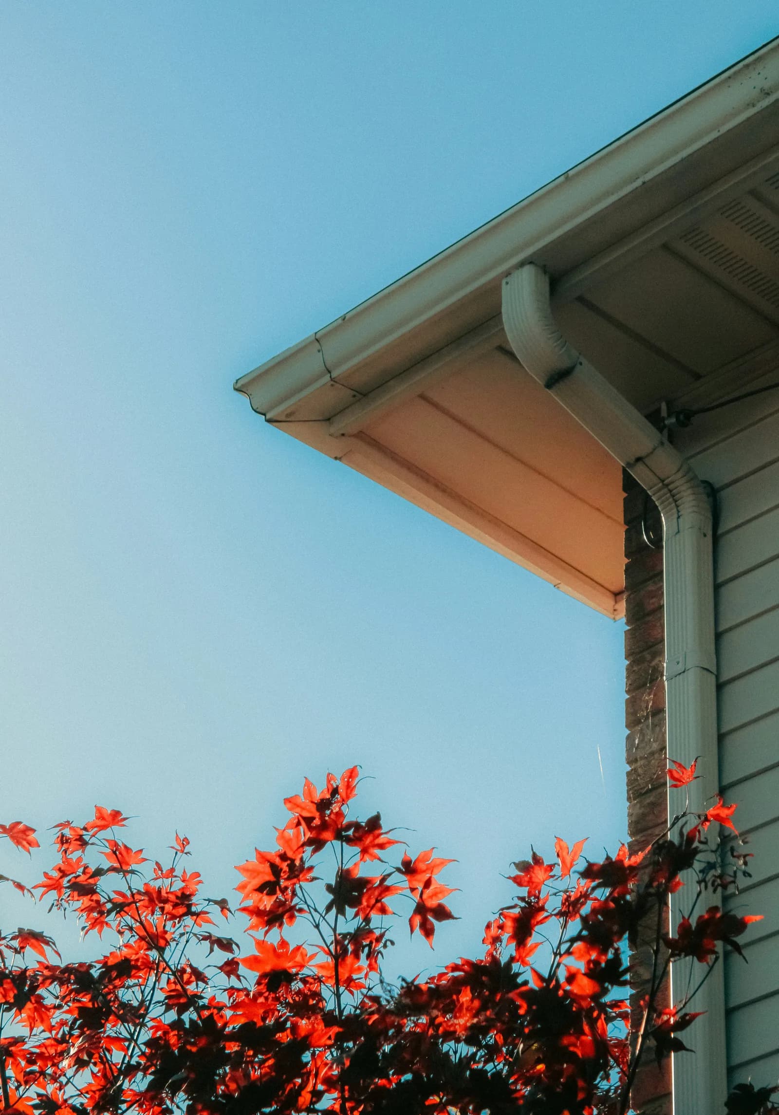 Clean gutter and eave with blue sky