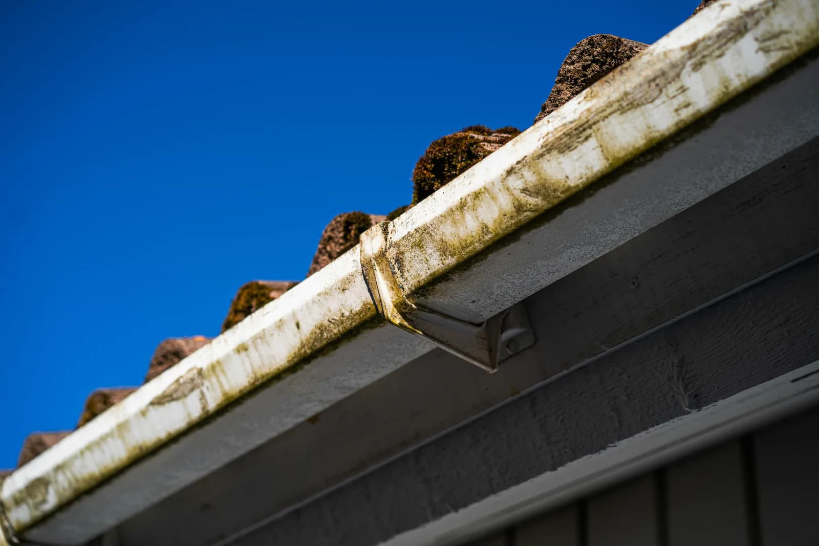 Gutter requiring professional cleaning
